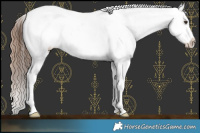 Horse Color:Chestnut Sabino Splash Leopard