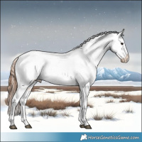 Horse Color:Bay Dun Appaloosa