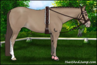 Horse Color:Classic Champagne 