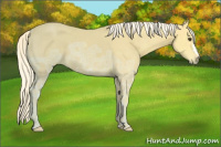 Horse Color:Palomino Ice 