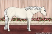 Horse Color:Silver Smoky Creme Dun
