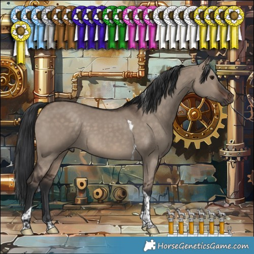 Horse Color:Brown Dun Tobiano 