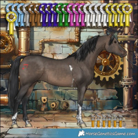 Horse Color:Brown Dun Tobiano 