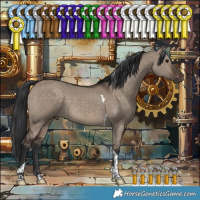 Horse Color:Brown Dun Tobiano 