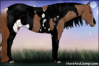 Horse Color:ERROR: UNKNOWN ANOMALY