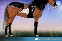 Horse Color:ERROR: UNKNOWN ANOMALY