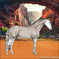 Horse Color:Silver Grullo Roan Splash