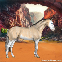 Horse Color:Buckskin Ice Roan Dun Splash 