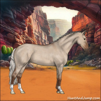 Horse Color:Silver Grullo Roan