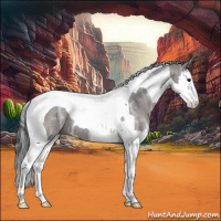 Horse Color:Smoky Grullo Ice Roan Splash Tobiano 