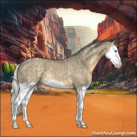 Horse Color:Silver Smoky Grullo Ice Roan Splash 