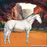 Horse Color:Silver Smoky Creme Ice Roan Splash 