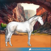 Horse Color:Brown Roan Dun Splash Tobiano 