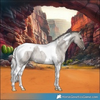 Horse Color:Silver Grullo Roan Tobiano 