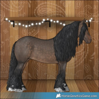 Horse Color:Brown Dun 