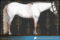 Horse Color:Gray Chestnut Near Leopard 