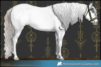 Horse Color:Gray Amber Cream Champagne Pearl Appaloosa 