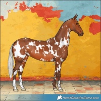 Horse Color:White Spotted Silver Bay 