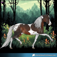 Horse Color:Silver Brown Splash Tobiano 