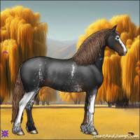Horse Color:White Spotted Liver Chestnut Rabicano