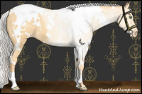 Horse Color:White Spotted Silver Amber Cream Champagne Varnish 