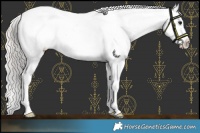 Horse Color:White Spotted Silver Black Varnish 