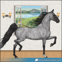 Horse Color:Smoky Blue Roan