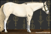 Horse Color:Smoky Black Pearl Varnish 
