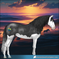 Horse Color:Black Splash 