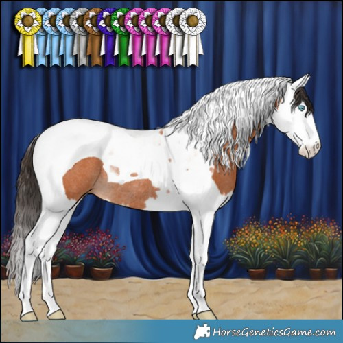 Horse Color:Bay Splash Tobiano Rabicano 