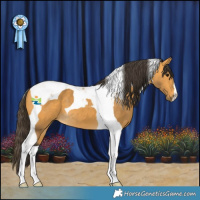 Horse Color:Buckskin Tobiano 