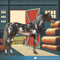 Horse Color:White Spotted Liver Chestnut Mushroom 