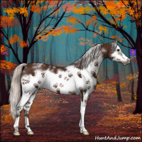 Horse Color:White Spotted Silver Brown Splash Frame 