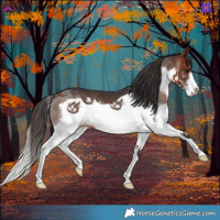 Horse Color:Brown Splash Frame Rabicano 