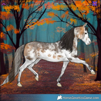 Horse Color:White Spotted Buckskin Splash 