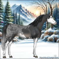 Horse Color:Black Ice Splash 