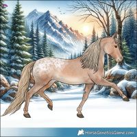 Horse Color:Chestnut Ice Appaloosa 