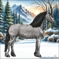 Horse Color:Grullo Ice Sabino Rabicano 