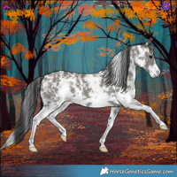Horse Color:Grullo Sabino Rabicano 