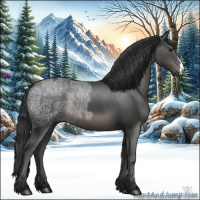 Horse Color:Black Ice 