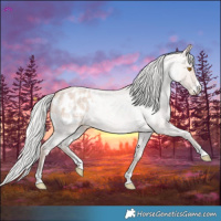 Horse Color:Silver Classic Champagne Roan Blanket 