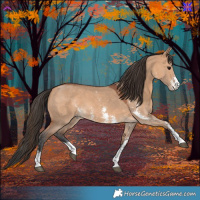Horse Color:Bay Dun Sabino 