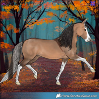 Horse Color:Bay Dun Splash 