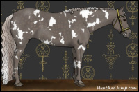 Horse Color:White Spotted Silver Black 