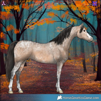 Horse Color:Bay Ice Dun 