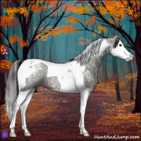 Horse Color:Smoky Blue Ice Roan Splash Tobiano 