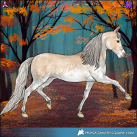 Horse Color:White Spotted Silver Bay Dun 