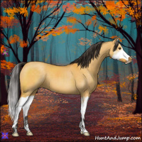 Horse Color:Buckskin Dun Splash 
