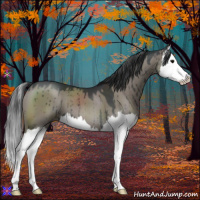 Horse Color:Grullo Splash Brindle 