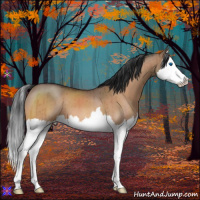 Horse Color:Bay Dun Splash Brindle 